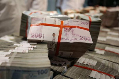 Merkez Bankası'nın rezervleri rekor kırdı
