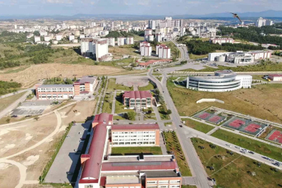 Kastamonu Üniversitesi, bezelye kabuklarından biyokömür üretecek
