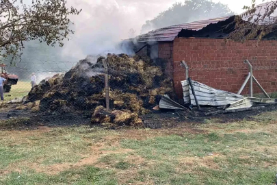 Bursa’da samanlık alevlere teslim oldu
