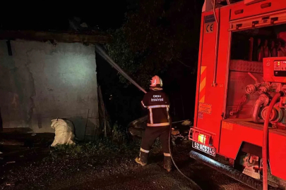 Kumru’da ahır yangını: 1 buzağı telef oldu
