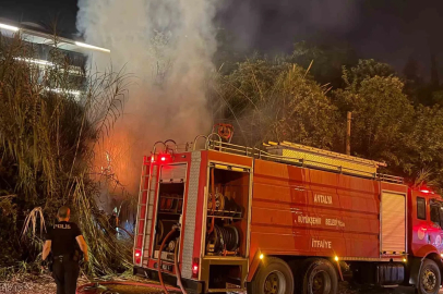 Alanya’da sazlık alanda yangın
