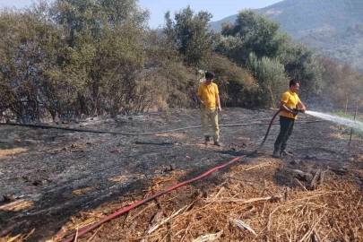 Milas Bafa’da tarım arazisindeki yangın söndürüldü

