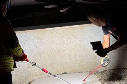 Hatay’da eve giren yılanları itfaiye yakaladı
