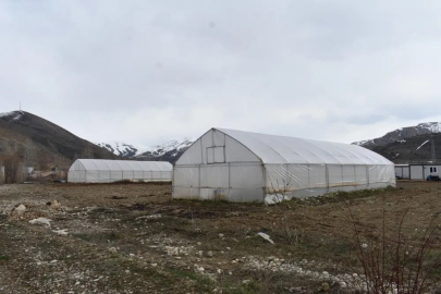 Erzincan’da sera örtüsü yenileme desteği başvuruları uzatıldı
