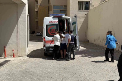 Siverek’te Fırat Nehri’ne giren 2 kişi boğuldu
