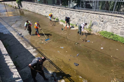 Alabalık deresi Belediye ekiplerince temizlendi

