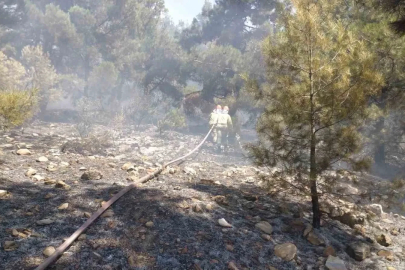 Denizli’de orman yangını hızlı müdahaleyle kontrol altına alındı
