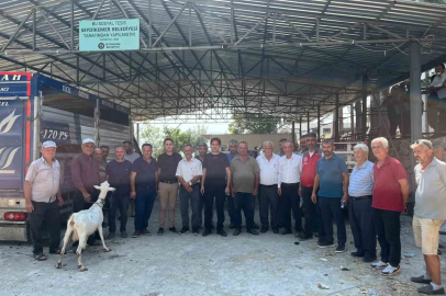 Seydikemer’de yangında hayvanlarını kaybeden çiftçilere küçükbaş hayvan desteği
