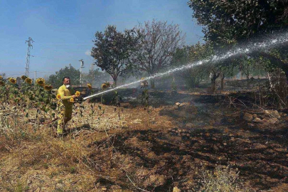 Bilecik’te ot yangını korkuttu
