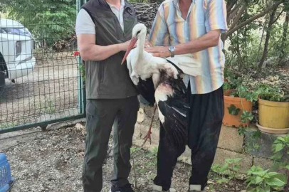 Evinin önüne gelen yaralı leyleğe sahip çıktı
