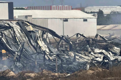 Kocaeli’de kimya fabrikasında yangın: 2 işçi yaralandı, 2 at telef oldu
