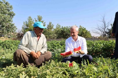 Şahinbey’den çiftçilere 53 milyon fide desteği
