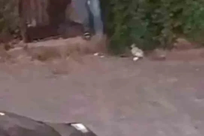 Sokak ortasında silahlı kavga: 3 yaralı
