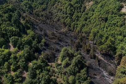 Sinop’taki orman yangını kontrol altına alındı
