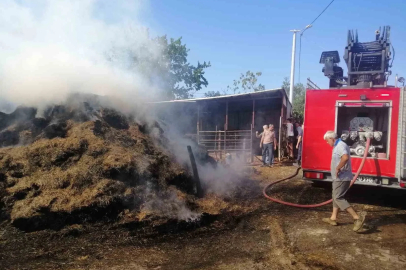 Keşan’da 1,5 saat içerisinde çıkan 5 yangın söndürüldü
