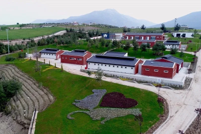 Denizli Büyükşehir Belediyesinden barınak iddialarına suç duyurusu

