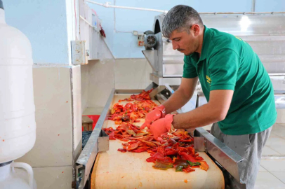 Kahramanmaraş’ta biber salçası mesaisi başladı

