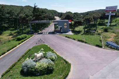 Bandırma Koyunculuk Araştırma Enstitüsü’nün TÜBİTAK projesine destek
