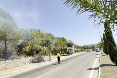 Yol kenarında başlayan yangın ormana sıçradı, ekiplerin müdahalesiyle söndürüldü

