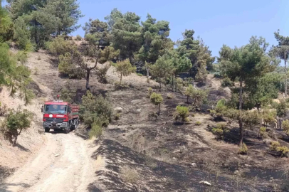 Kahramanmaraş’ta orman yangını kontrol altına alındı
