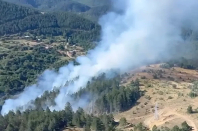 Kastamonu’da çıkan orman yangını ekiplerin hızlı müdahalesiyle söndürüldü
