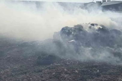 Bandırma’da besi çiftliği yakınında otluk alanda yangın
