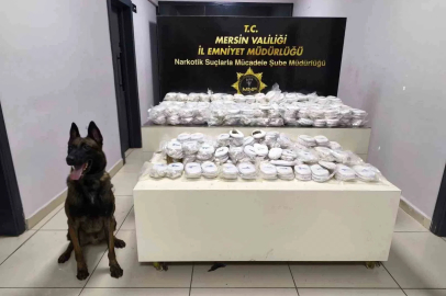 Piyasa değeri 13 milyon 960 bin lira olan 3 kilo 490 gram kokain ele geçirildi
