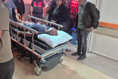 Ayının saldırdığı çobanı köpekleri kurtardı
