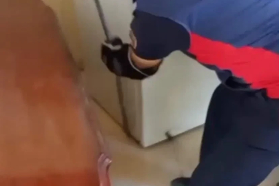 Hatay’da yerleşim yerlerine giren yılanlar yakalandı
