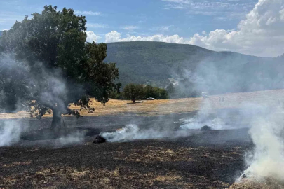 Bolu’da balya makinesinden çıkan kıvılcımlar yangına neden oldu
