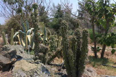 Patagonya değil Adana
