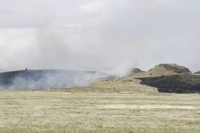 Ahlat-Tatvan yolunda otluk alanda yangın paniği
