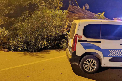 Beyşehir’de yola ağaç devrildi
