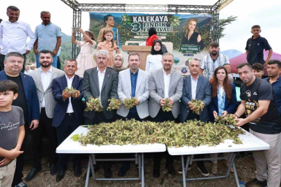 Kahramanmaraş’ın Karadeniz’i Kalekaya’da Fındık Festivali
