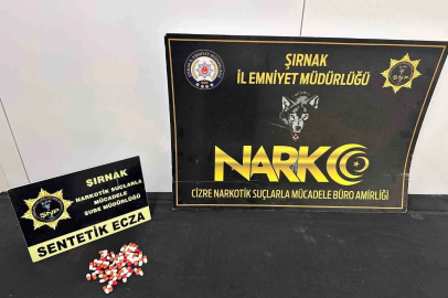 Şırnak’ta asayiş ve narkotik operasyonları düzenlendi

