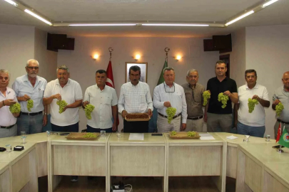 Kuru üzüm üreticisinden taban fiyat çağrısı
