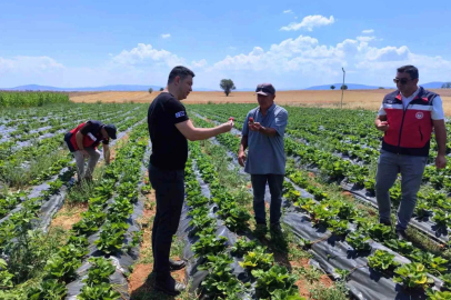 Aslanapa’da çilek ve biber üreticisine ziyaret
