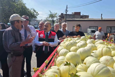 Balıkesir’de ata tohumuyla yetiştirilen beyaz kavunun hasadı başladı
