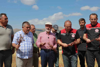 Başkan Çolakbayrakdar: "Kocasinan’ı arıcılıkta merkeze dönüştüreceğiz, şehre yeni bir tarım ürünü kazandıracağız"
