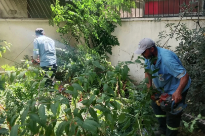 Mersin’ de park ve yeşil alanlarda bakım çalışmaları sürüyor
