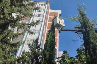 Mahsur kalan kediyi itfaiye kurtardı
