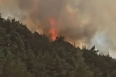 Sındırgı’da orman yangınına havadan ve karadan müdahale sürüyor

