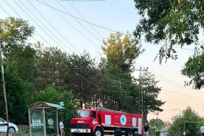 Muratlı’da ağaçlık alanda çıkan yangın söndürüldü
