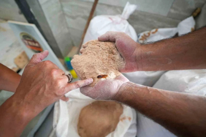 Un fabrikasında şoke eden görüntü: 30 ton böceklenmiş bozuk un ele geçirildi
