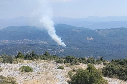 Muğla’da orman yangını
