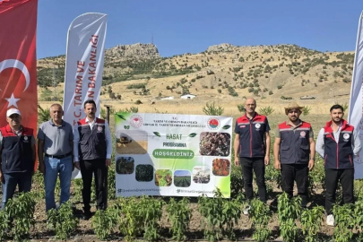 Şırnak’ta TAKE Projesi kapsamında sebze hasadı gerçekleştirildi
