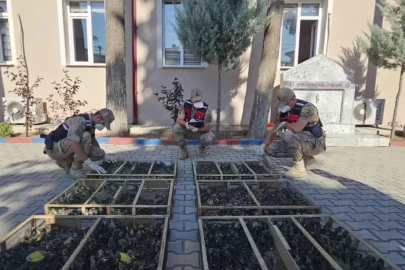 Suriye’ye geçirilmek istenen 2 bin 114 saka kuşuna 19 milyon 871 bin TL ceza
