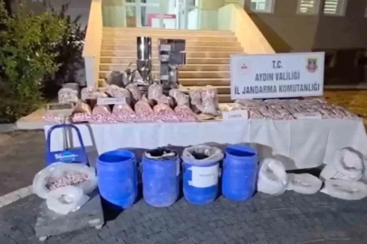 Aydın’da zehir tacirlerine darbe: 100 milyon TL’lik uyuşturucu ele geçirildi
