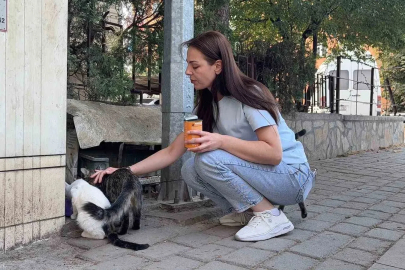 Kütahya’da kedi vahşeti: Başını ve ayaklarını kesip apartmanın önüne bıraktılar
