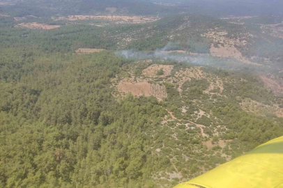 Muğla’da orman yangını kontrol altına alındı
